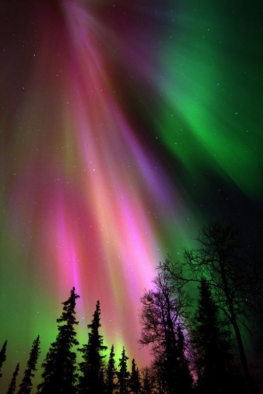 Lapland Northern Lights Hotel Ilveslinna Ranua Exterior photo
