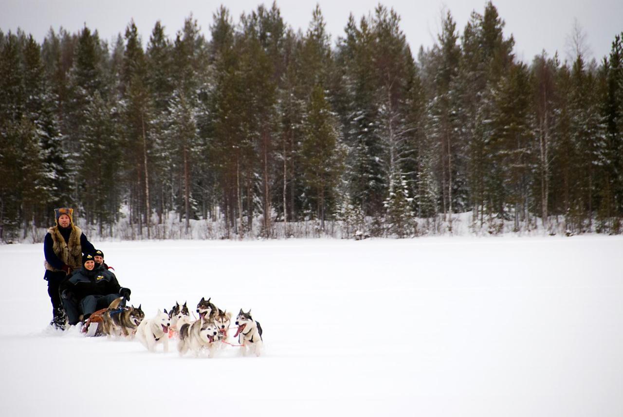Lapland Northern Lights Hotel Ilveslinna Ranua Exterior photo